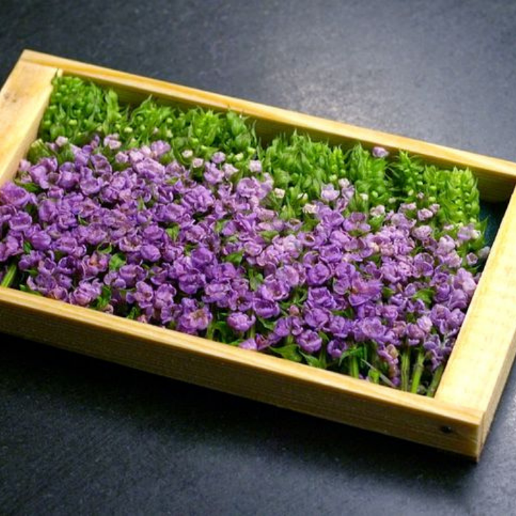 花穂 紫蘇花 每盒約g One World Delivery