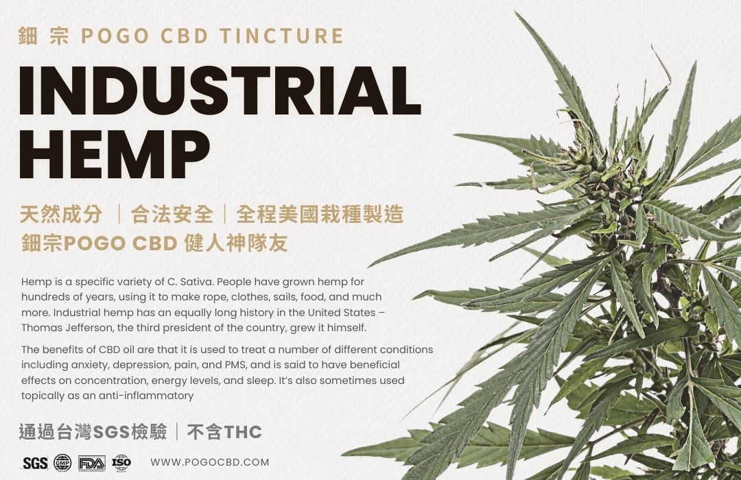 鈿宗 Pogo Cbd 鈿宗 Pogo Cbd