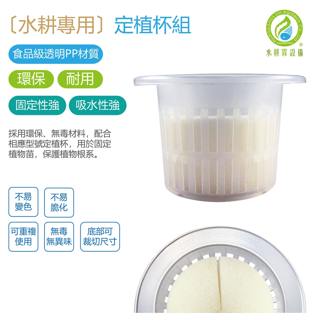 水耕專用 定植杯組 55mm 水耕霖農業科技有限公司