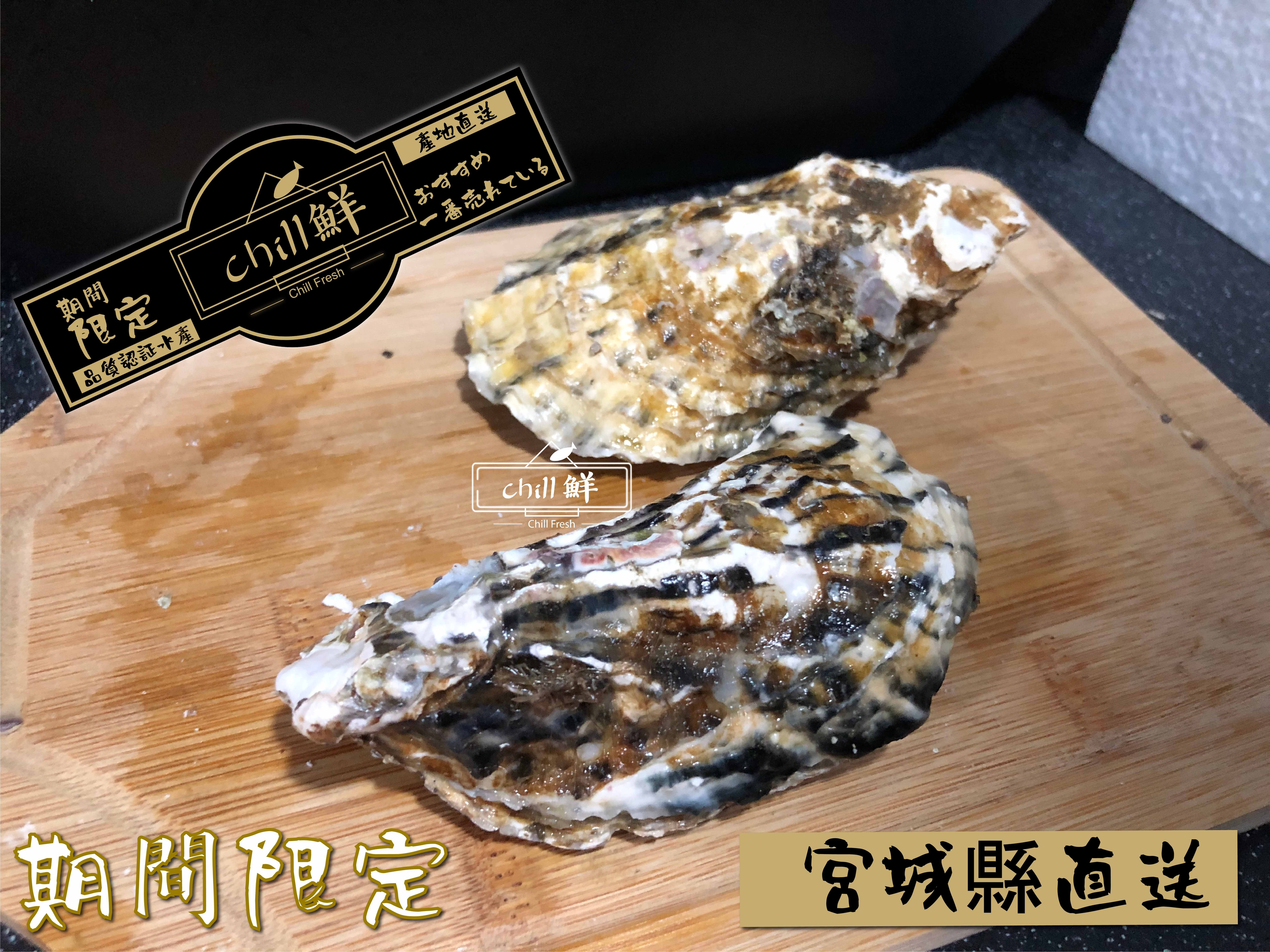 日本宮城縣生蠔 期間限定 德川家族的至愛 Chill鮮