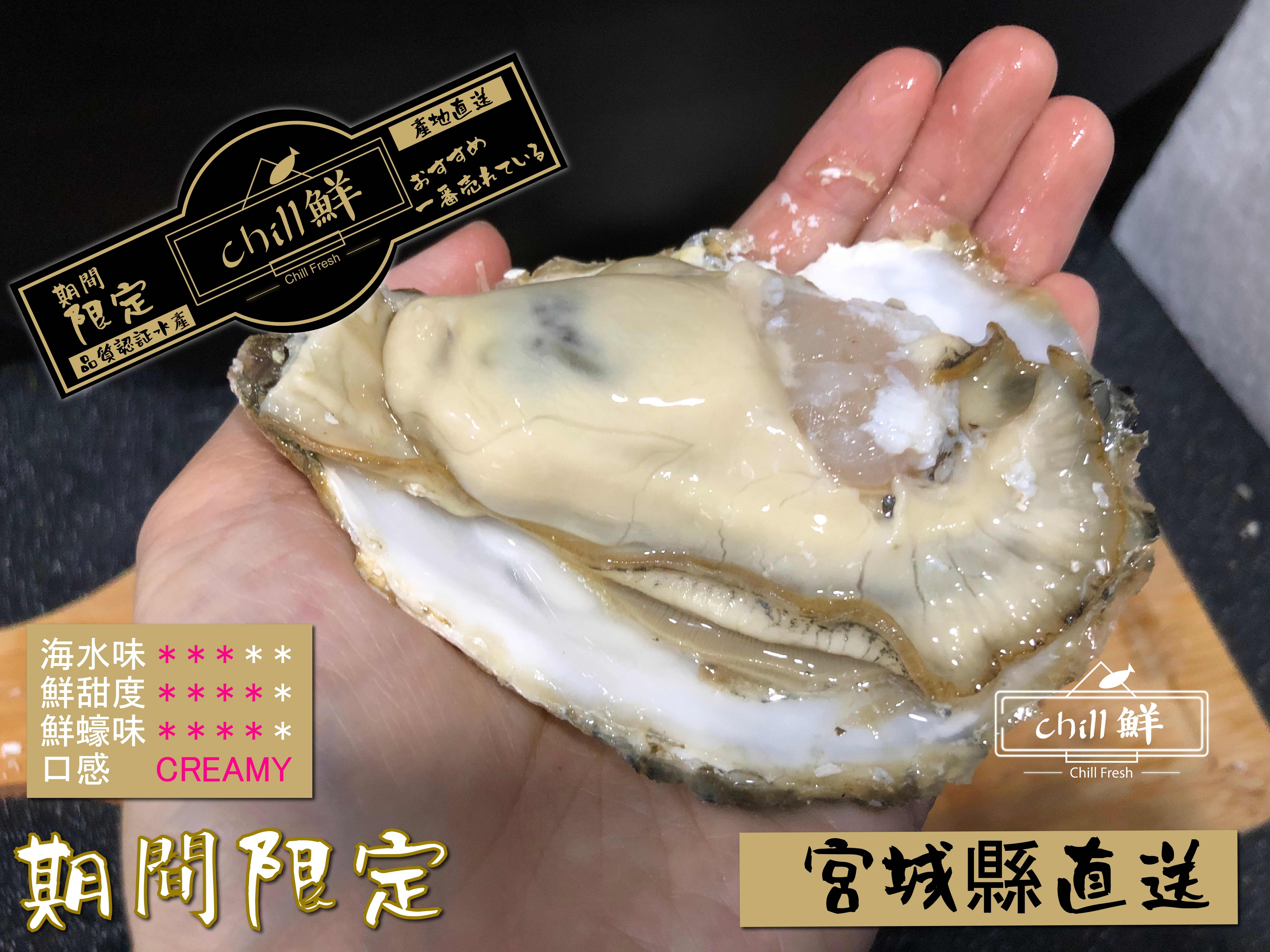 日本宮城縣生蠔 期間限定 德川家族的至愛 Chill鮮