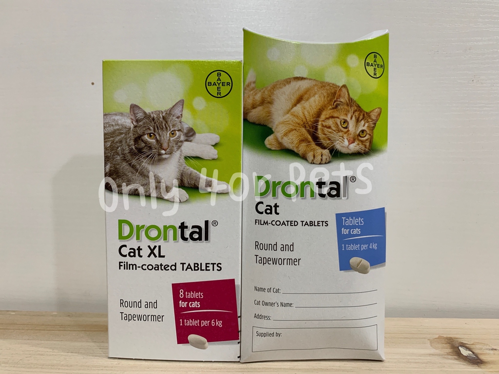 Bayer Drontal for Cat 貓用杜蟲藥 Only4orPets 寵樂部 Only4orPets 寵