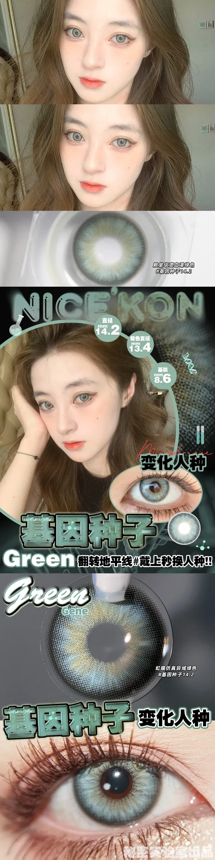 絕版年拋!!(0度)(現貨) Nicekon 基因種子yearly [進口中字] - Blingblingconk