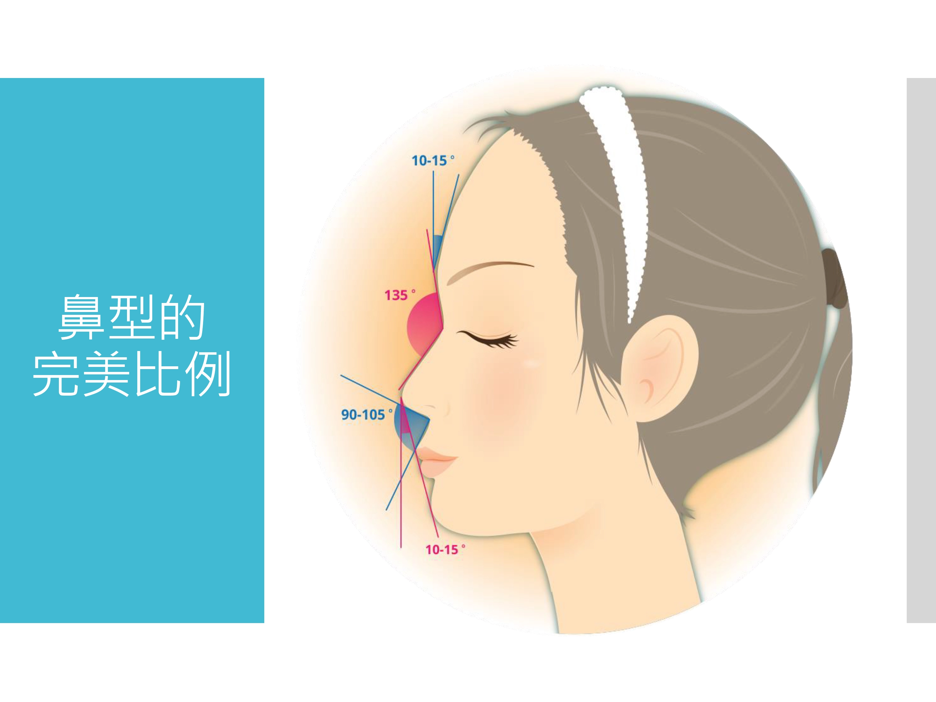 鼻型完美比例.jpg